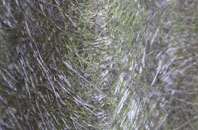 Flaxpool fibreglass roof work